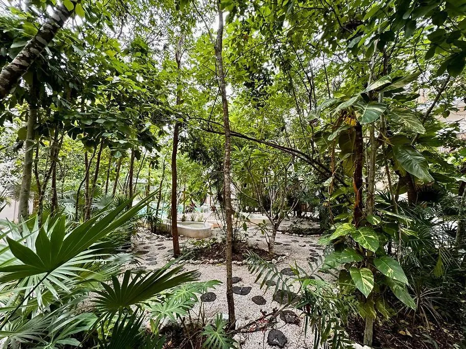 2 Bedroom Apartment In The Heart Of La Veleta! Tulum Mexico