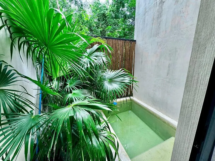 2 Bedroom Apartment In The Heart Of La Veleta! Tulum